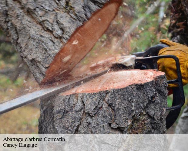 Abattage d'arbres  cormatin-71460 Cancy Elagage