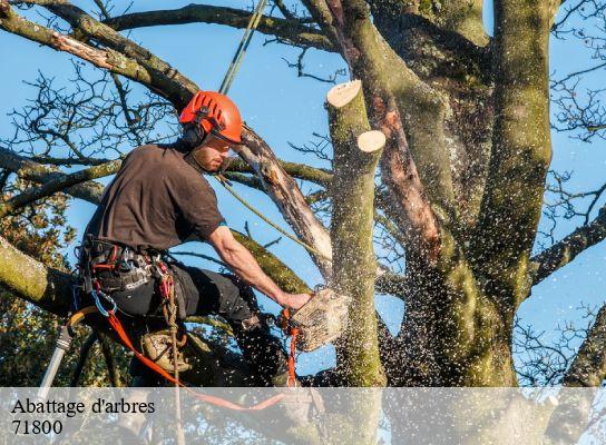 Abattage d'arbres  vauban-71800 Cancy Elagage