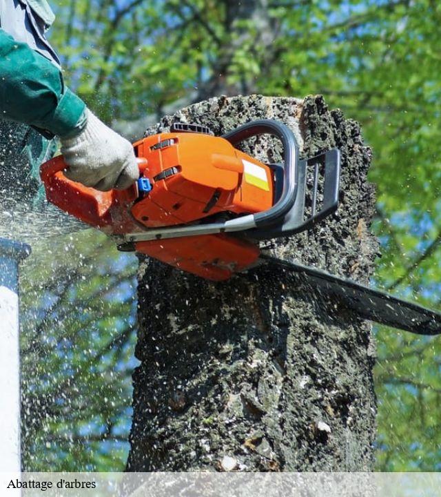 Abattage d'arbres  vauban-71800 Cancy Elagage