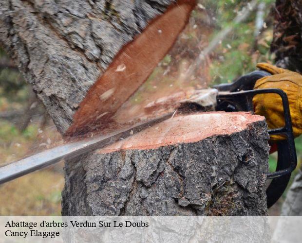 Abattage d'arbres  verdun-sur-le-doubs-71350 Cancy Elagage