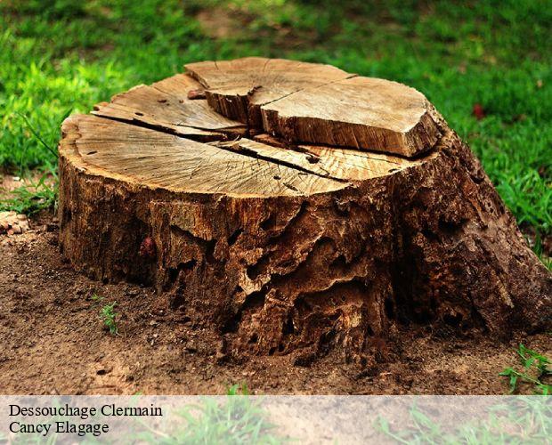 Dessouchage  clermain-71520 Cancy Elagage