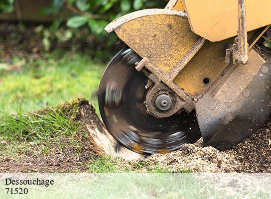 Dessouchage  clermain-71520 Cancy Elagage