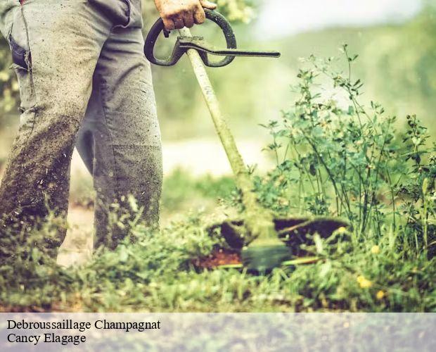 Debroussaillage  champagnat-71480 Cancy Elagage