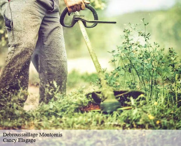 Debroussaillage  montcenis-71710 Cancy Elagage
