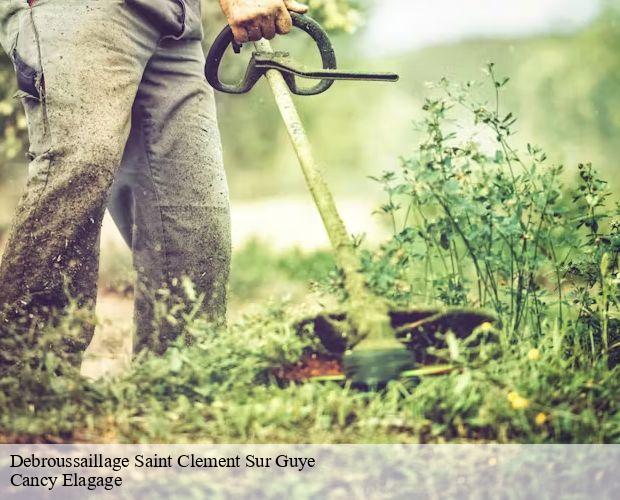 Debroussaillage  saint-clement-sur-guye-71460 Cancy Elagage