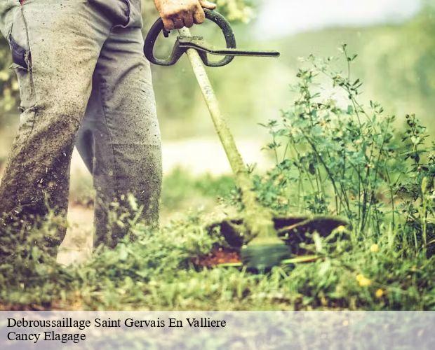 Debroussaillage  saint-gervais-en-valliere-71350 Cancy Elagage