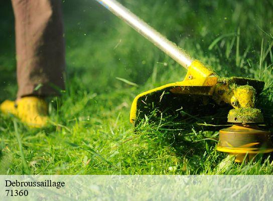 Debroussaillage  sully-71360 Cancy Elagage