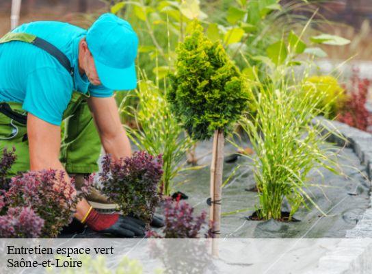 Entretien espace vert   Cancy Elagage