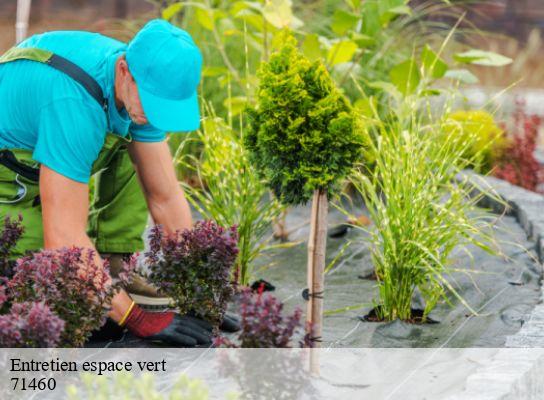 Entretien espace vert  bissy-sur-fley-71460 Cancy Elagage