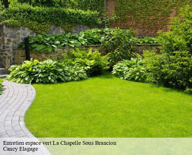 Entretien espace vert  la-chapelle-sous-brancion-71700 Cancy Elagage