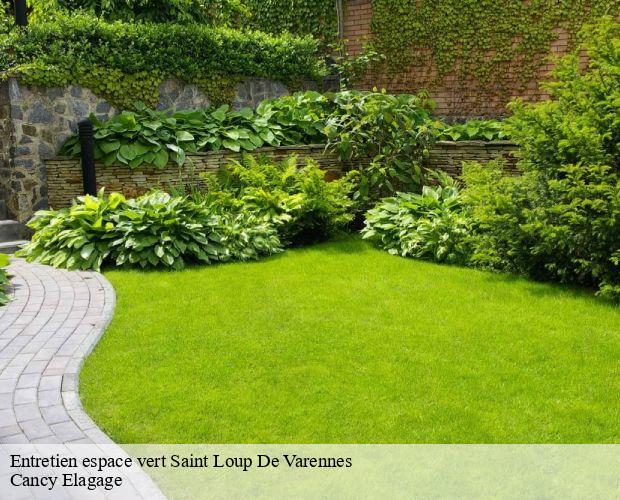 Entretien espace vert  saint-loup-de-varennes-71240 Cancy Elagage