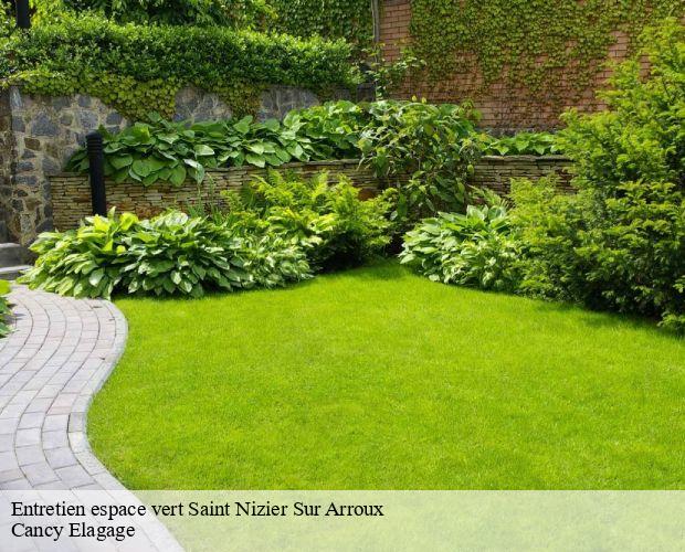 Entretien espace vert  saint-nizier-sur-arroux-71190 Cancy Elagage