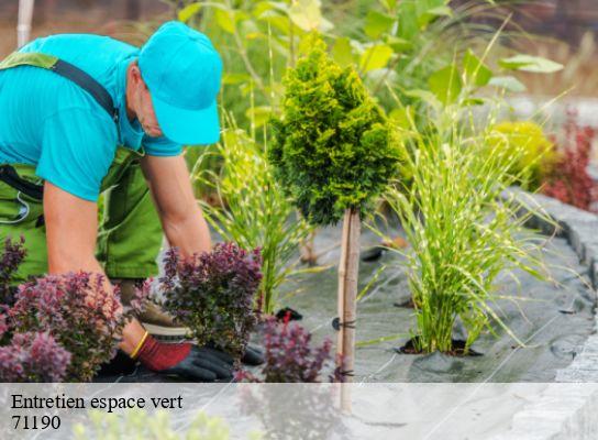 Entretien espace vert  saint-nizier-sur-arroux-71190 Cancy Elagage