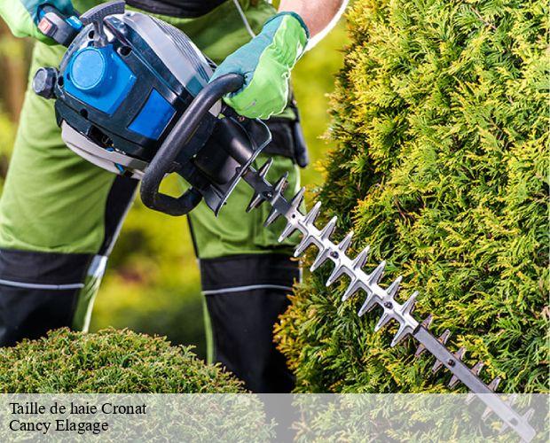 Taille de haie  cronat-71140 Cancy Elagage