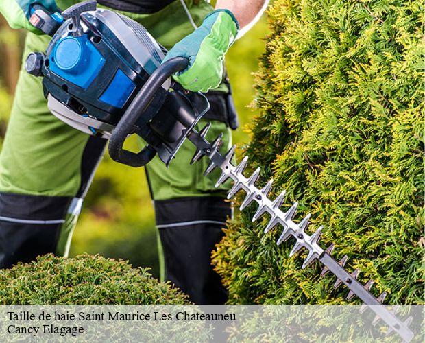Taille de haie  saint-maurice-les-chateauneu-71740 Cancy Elagage