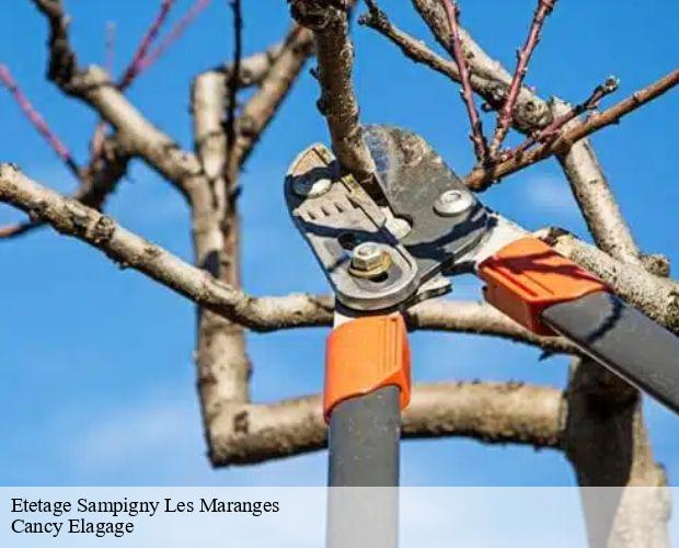 Etetage  sampigny-les-maranges-71150 Cancy Elagage