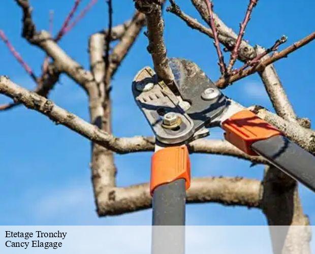 Etetage  tronchy-71440 Cancy Elagage