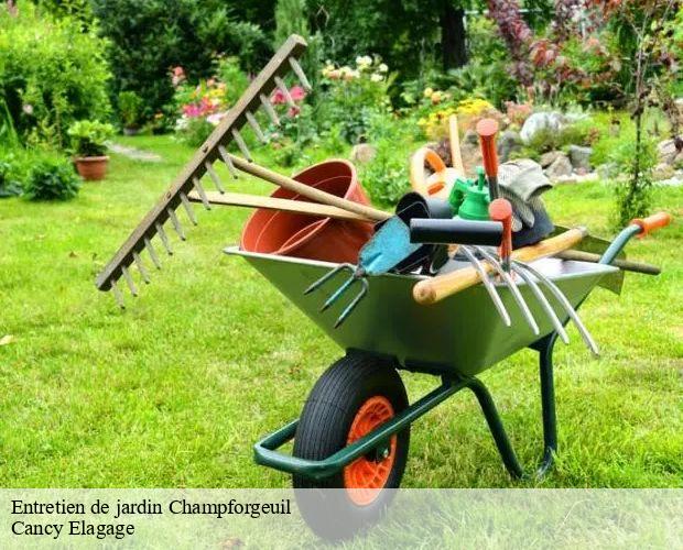 Entretien de jardin  champforgeuil-71530 Cancy Elagage