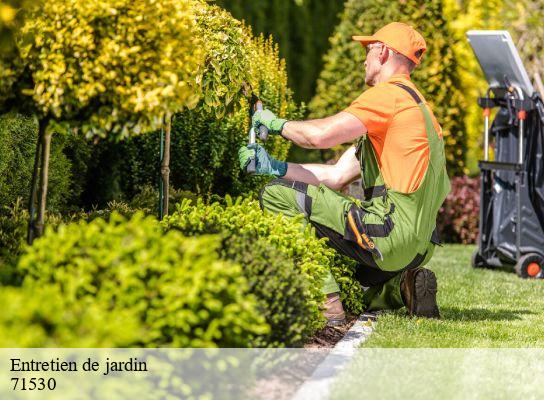 Entretien de jardin  champforgeuil-71530 Cancy Elagage