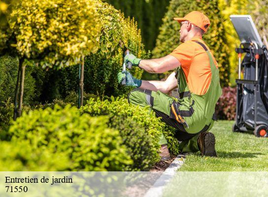 Entretien de jardin  roussillon-en-morvan-71550 Cancy Elagage