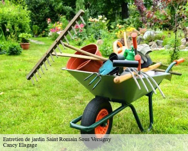 Entretien de jardin  saint-romain-sous-versigny-71420 Cancy Elagage